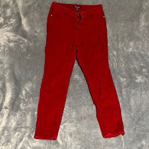 Deep Red burgundy corduroy roz Ali pants from dress barn
